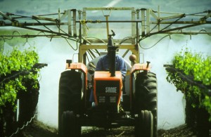 Spraying_vineyard